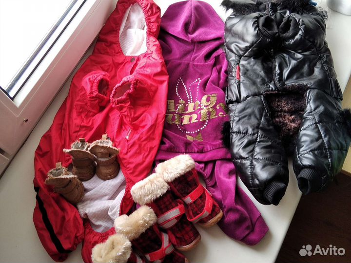 Одежда для маленькой собачки