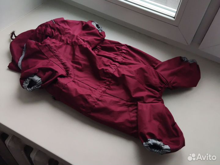 Одежда для собаки