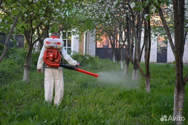 Обработка участка от комаров,тли,мошек, клещей