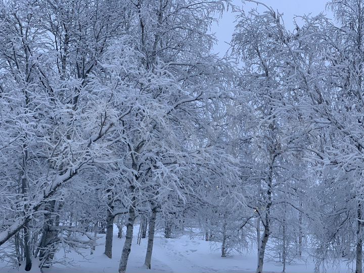 Гараж, 23 м²