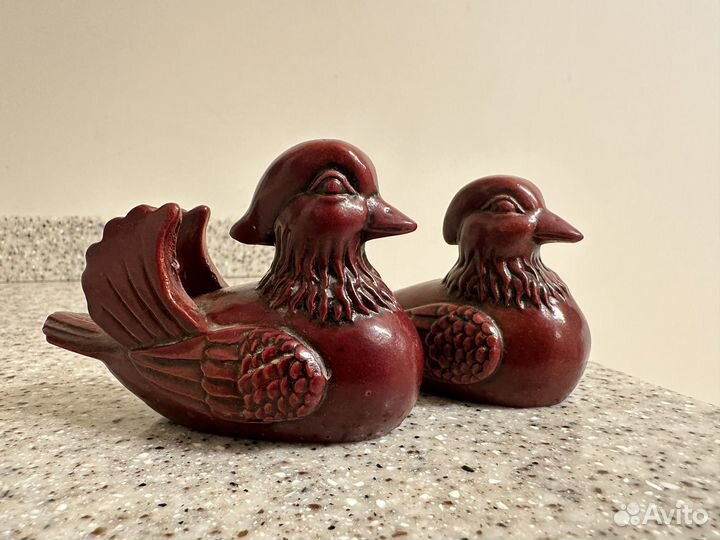 Утки мандаринки пара