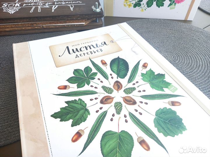 Цветы и травы/Листья деревьев/Миф Гербарий/Пресс