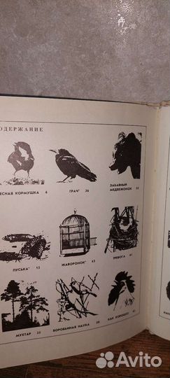 Старые детские книги 60-ые 19 в