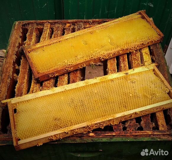 Рамки с сушью