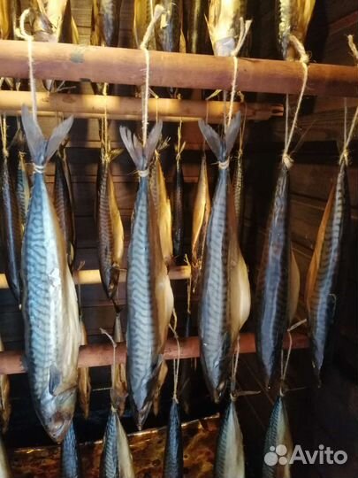 Копчёная рыба