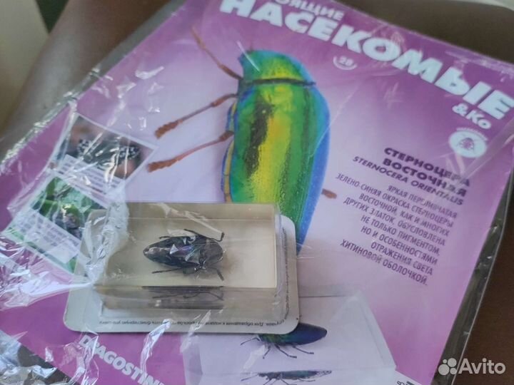 Deagostini настоящие насекомые 28 номер