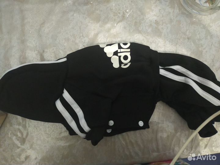 Спортивный костюм