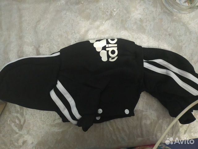 Спортивный костюм