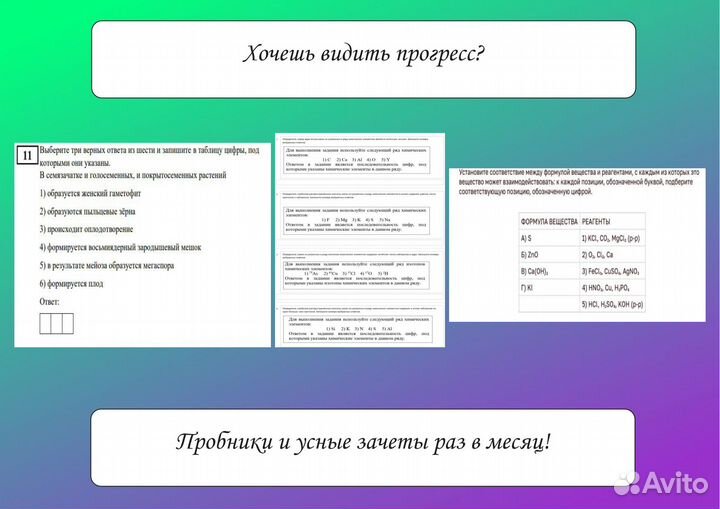 Лучший репетитор по биологии и химии для ЕГЭ и ОГЭ