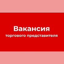 Торговый представитель, подработка Щелкино