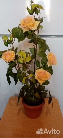 Новые цветы в горшочке - розы, 2 вазы - новые