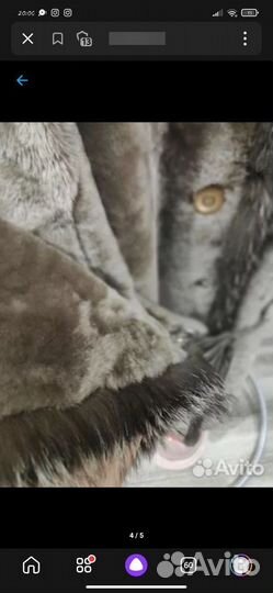 Шуба мутон чернобурка фирма Alef 50-52 длинная