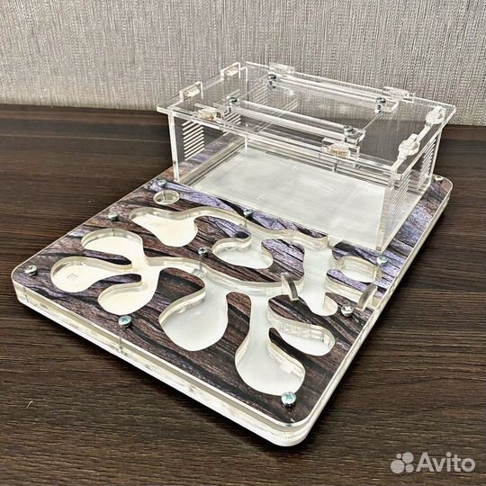 Муравьиная ферма. Муравьи