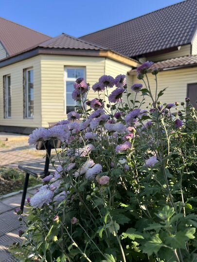 Дом 300 м² на участке 15 сот.