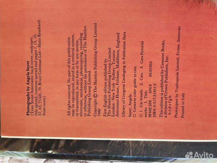 Книги о кошках. Одна книга на Английском языке)