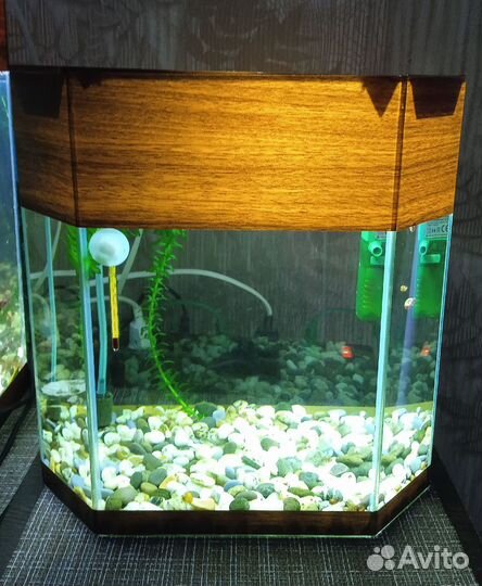 Аквариум