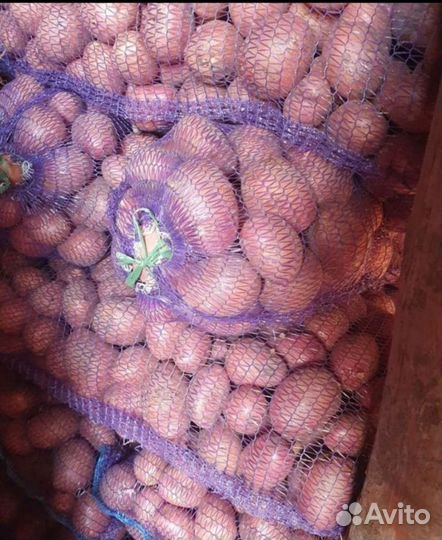 Картофель С доставкой