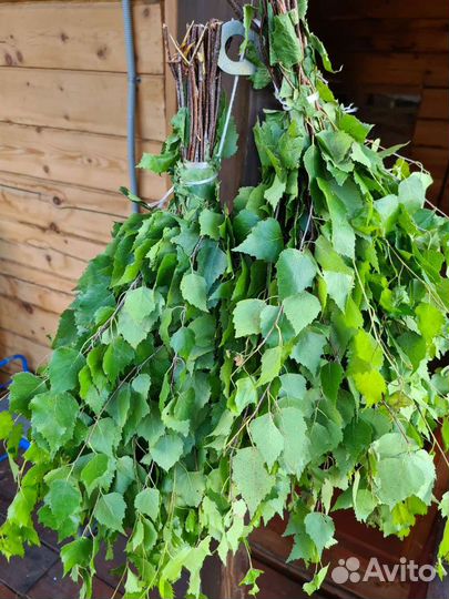 Свежие березовые веники