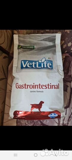 Сухой корм для собак