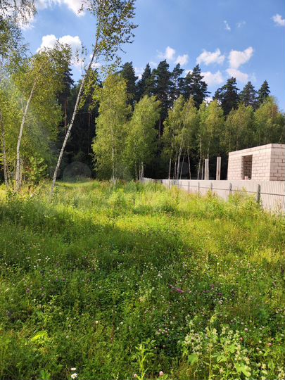 Участок 15 сот. (СНТ, ДНП)