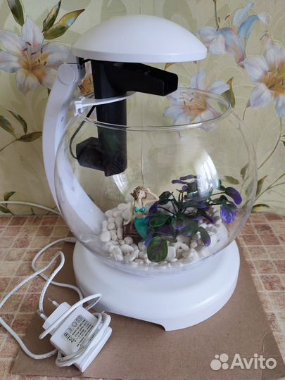 Аквариум круглый с подсветкой и оформлением