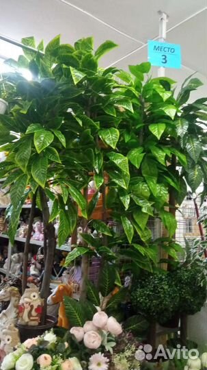 Искусственное деревья, цветочные композиции