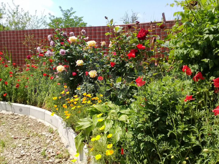 Дом 78 м² на участке 9,6 сот.