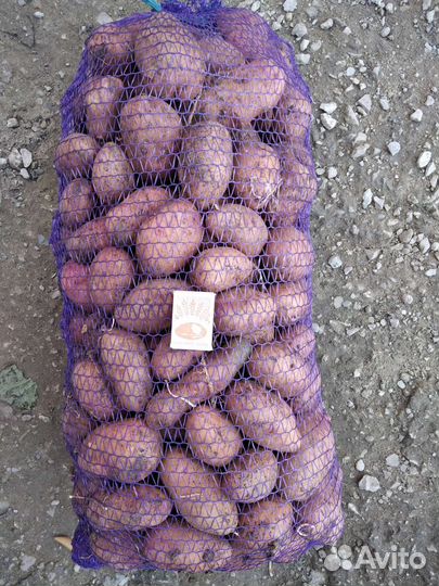 Картофель с доставкой на дом