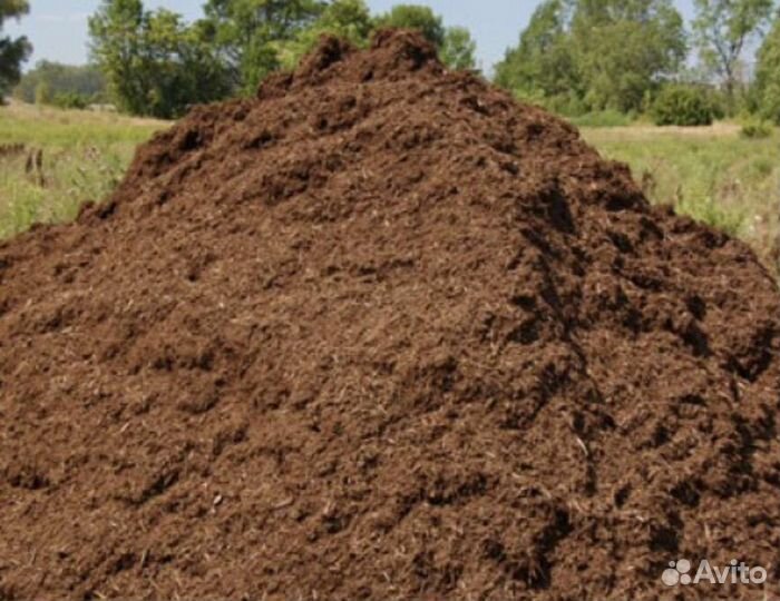 Конский навоз