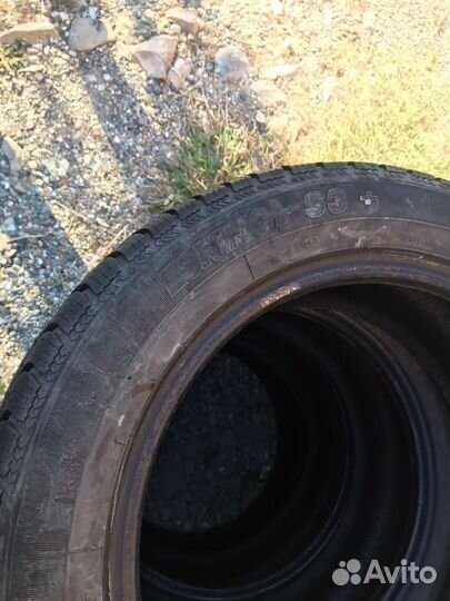 Sava Eskimo S3+ 205/55 R16