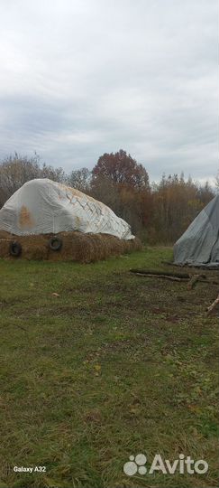 Салом и сено