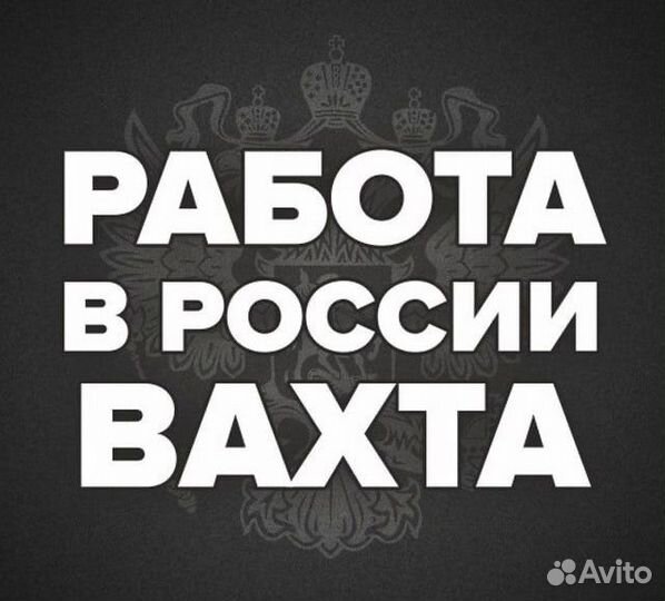 Транспортировщик, Без опыта с обучением