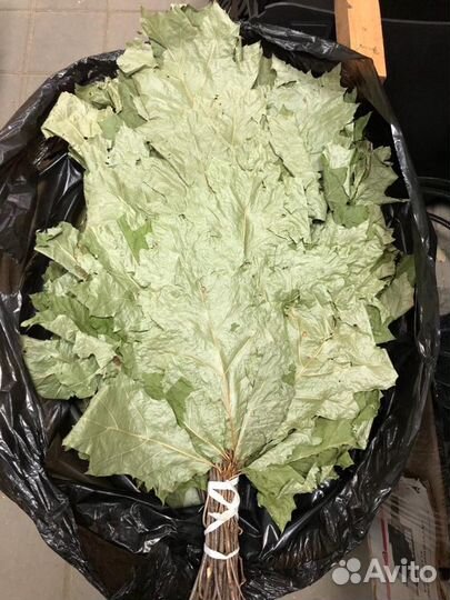 Веники банные