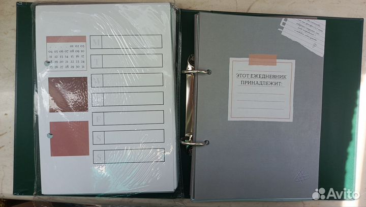 Ежедневник Драмиона + дополнительный блок листов