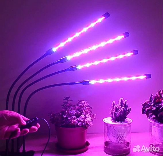 Фитолампа фитосветильник для рассады растений