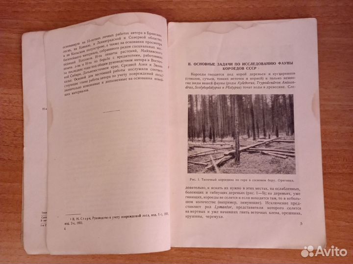 Инструкция по собиранию и изучению короедов