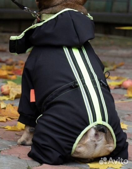 Комбинезон для собаки