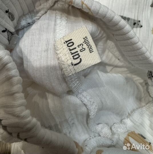 Боди и штанишки carrot