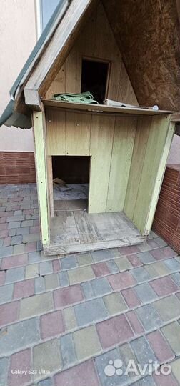 Собачья будка