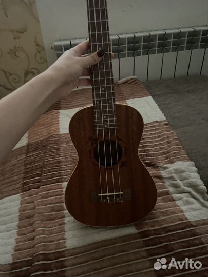 Укулеле flight концерт