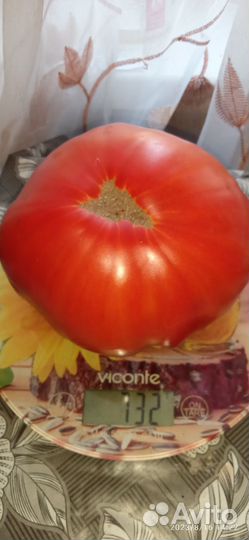 Семена сортовых коллекционных томатов