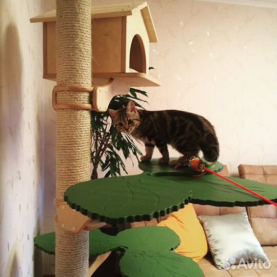 Игровой комплекс для кошек