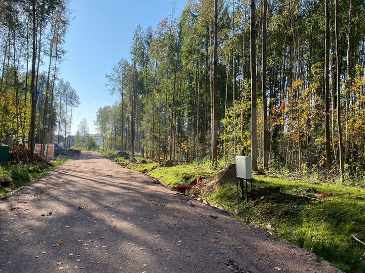 Участок 12,9 сот. (СНТ, ДНП)