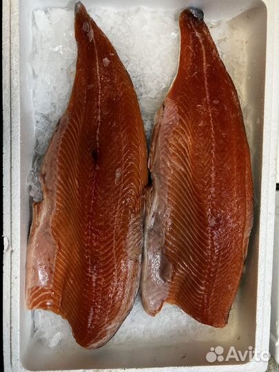Лосось (семга), форель, филе, охлажд, свежемор