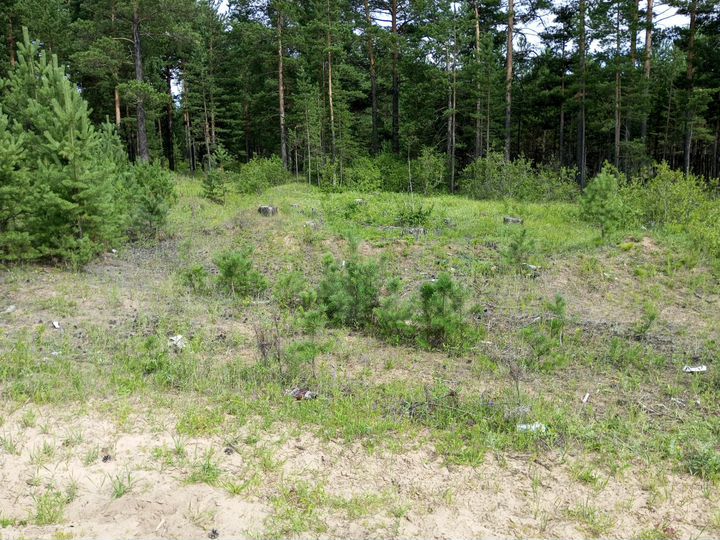 Участок 10 сот. (ИЖС)