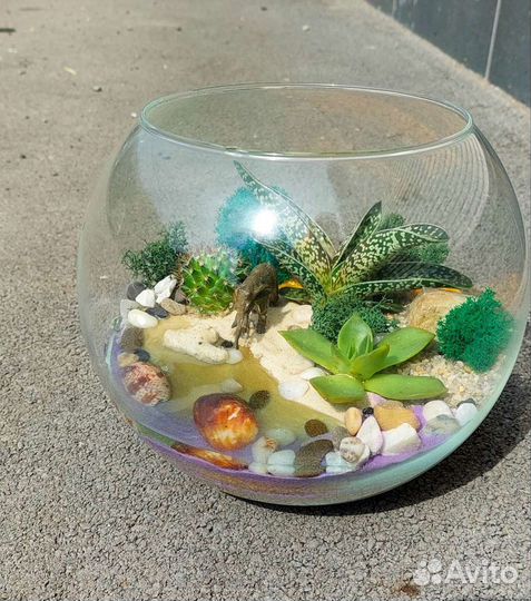 Флорариум с суккулентами 