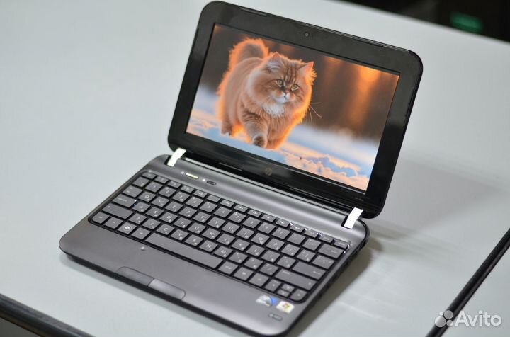 Нетбук HP Mini для работы