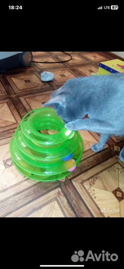 Игрушка для кошек