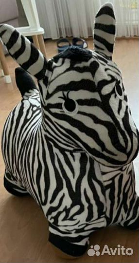 Прыгун Зебра