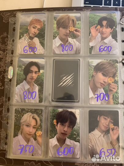 Карты Stray Kids предзы Noisy/Noeasy